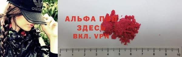 мет Алексин