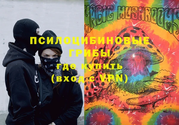 мет Алексин